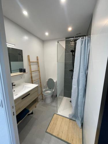une salle de bain avec une douche, un lavabo et des toilettes dans l'établissement Appartement sur Le Barcares, au Barcarès