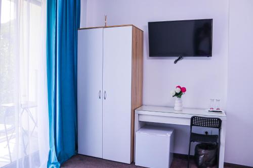 TV a/nebo společenská místnost v ubytování Pensiunea Maya Caciulata
