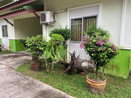 a house with three potted plants in front of it at เดอะกรีนฟอเรสท์ รีสอร์ท in Hat Yai
