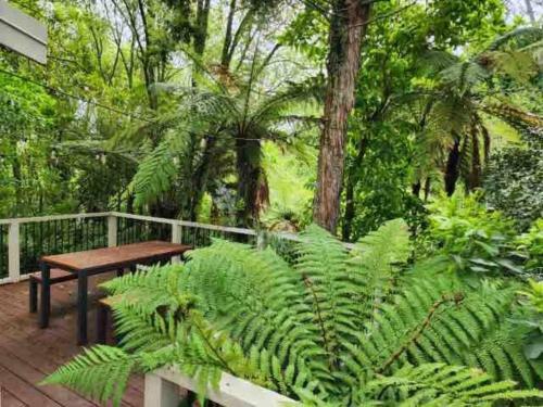 una terraza con una mesa de madera y exuberantes plantas verdes en Charming Country Retreat, en Hamilton