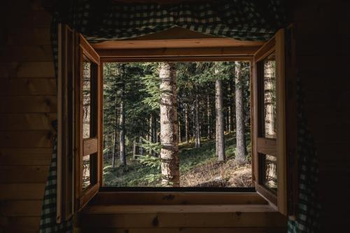 a window in a room with a view of a forest at JELA NATURAL RESORT in Rožaje