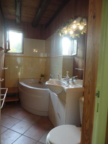 une salle de bain avec un lavabo, une baignoire et des toilettes dans l'établissement Domaine de La Méniguère, à Saint-Gein