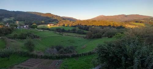 a green field with trees and mountains in the background at Apartamentos en Baztan HIRU KABI, BAGA in Lecároz