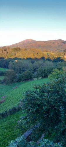a green field with trees and hills in the background at Apartamentos en Baztan HIRU KABI, BIGA in Lecároz