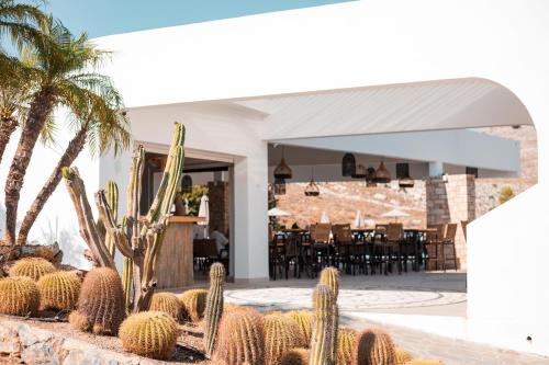 un ristorante con un mucchio di cactus davanti di Lambis Studios & Apartments a Líndos