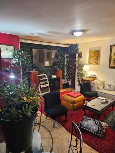 - un salon doté de nombreux meubles dans l'établissement Appartement 50 m2, à Paris