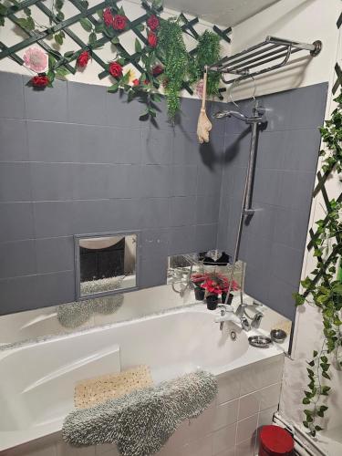 une salle de bain avec baignoire et cheminée dans l'établissement Appartement 50 m2, à Paris