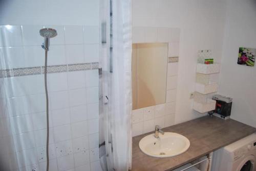 a white bathroom with a sink and a shower at Château des Princes " Fleur de Lys " in Sedan