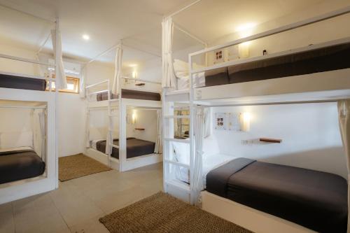 een slaapkamer met 2 stapelbedden in een kamer bij Puri Garden Hotel & Hostel in Ubud
