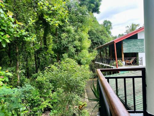 a balcony of a house in a forest at Nature House in Udawalawe