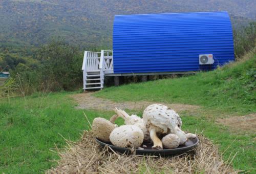 two stuffed animals laying on a plate in a field at Glamping Eco Valley in Shahumyan