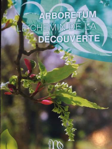 a close up of a tree branch with flowers at gîte St Pierre in Melle