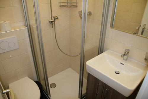 een badkamer met een douche, een wastafel en een toilet bij Greppons O 031 - MOUNTAIN apartment 10 pers in Veysonnaz