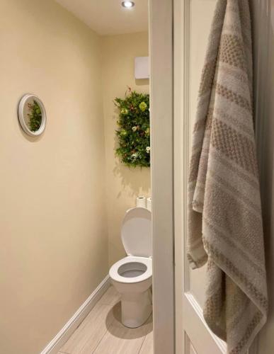 a bathroom with a toilet and a christmas tree at The Graph’s Gaff in Aycliffe
