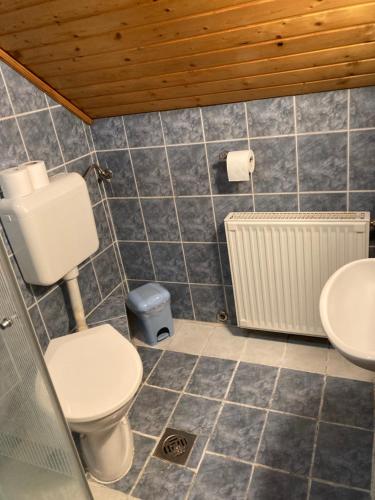 a bathroom with a toilet and a sink at Retro Panzió in Pécs