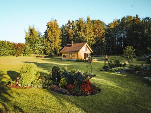 a small house in the middle of a yard at Kõhe Talu Puhkemaja in Rämsi