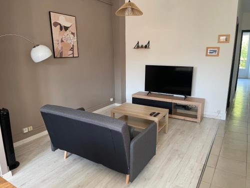 un salon avec un canapé et une télévision dans l'établissement Découvrez Stéline, T3 centre ville, à Montélimar