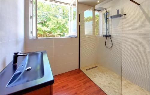 La salle de bains est pourvue d'un lavabo, d'une douche et d'une fenêtre. dans l'établissement Stunning Home In Ceffonds With Kitchen, à Ceffonds