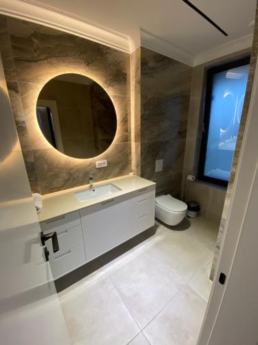 a bathroom with a sink and a mirror and a toilet at Casa Viilor in Chişinău