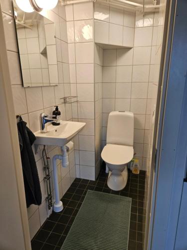 La petite salle de bains est pourvue de toilettes et d'un lavabo. dans l'établissement Brahe 65, à Gränna