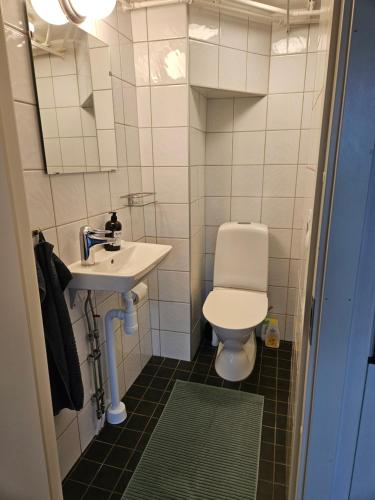 a small bathroom with a toilet and a sink at Brahe 65 in Gränna