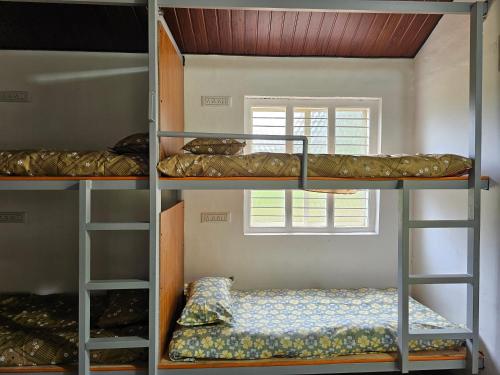 a room with three bunk beds and a window at Farmhouse with Pool - Kalavady Farmstay in Baindūru