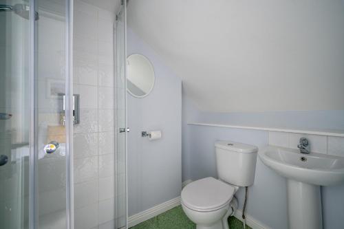 y baño con aseo, lavabo y ducha. en Chamberlain House, en Derry Londonderry