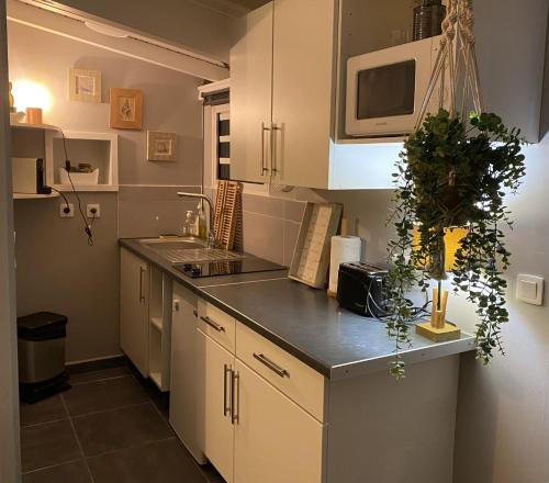 Kuchyň nebo kuchyňský kout v ubytování Studio cosy rez de jardin à 10 mn des plages