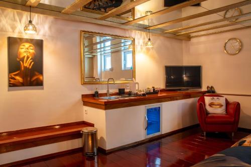 a room with a bar with a sink and a tv at B&B Katoo in Linne