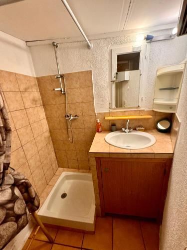 une salle de bain avec un lavabo et une douche avec un miroir dans l'établissement Casa Jeannot typique Corse en pierre, Location de SAMEDI EN SAMEDI , 2 pers, f2, 35 m2, jardin 60m2 vue montagne, parking, à Monacia-dʼAullène