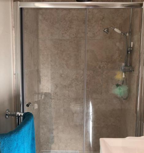 a shower with a glass door next to a sink at Brindles in Sissinghurst