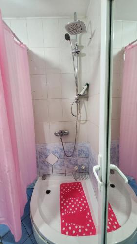 y baño con ducha y estera roja en la bañera. en Lilly Skopje en Skopie