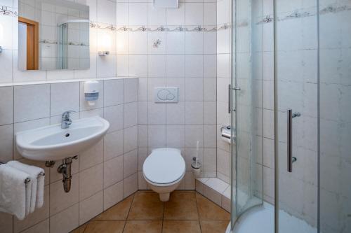 a bathroom with a toilet and a sink and a shower at Hotel Zur Post in Pirna