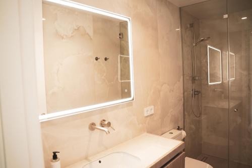 a bathroom with a shower and a sink and a toilet at CISNES PALACE in Sanlúcar de Barrameda