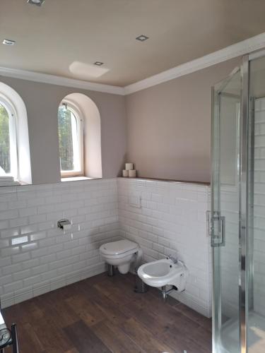 a bathroom with a toilet and a sink at Lesní Hotel Peršlák in Nová Bystřice