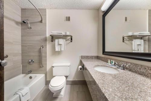 a bathroom with a toilet and a sink and a mirror at Quality Inn Alamosa in Alamosa