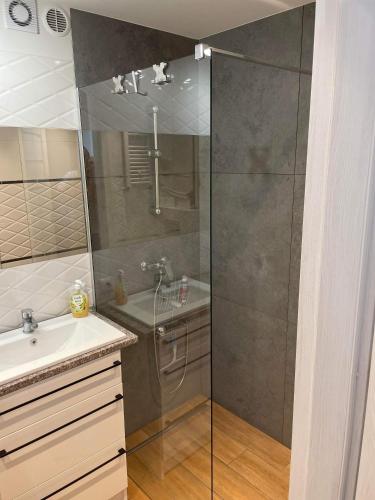 a bathroom with a shower and a sink at Apartament Centrum Malbork in Malbork