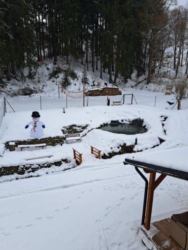 a snow covered yard with a pond and a snow man at Chalupa Lilien pod Medvědí skálou Jeseníky in Jindřichov