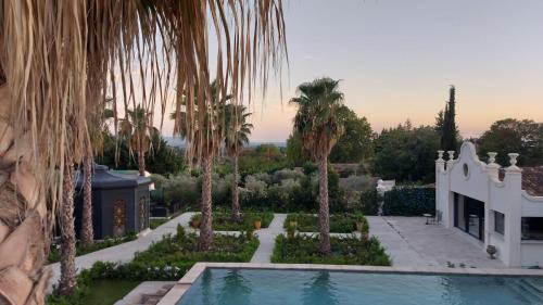 a house with a swimming pool and palm trees at Maison d Hotes BLUE PALM Aix en PROVENCE in Aix-en-Provence