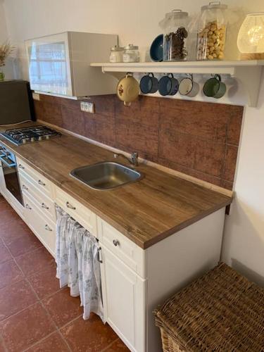 a kitchen with a sink and a counter top at The Dachshund's Chateau in Budíkov