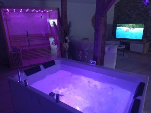 a large bath tub in a living room with a tv at Loft blanc (baignoire balnéo et sauna) in Trois-Ponts