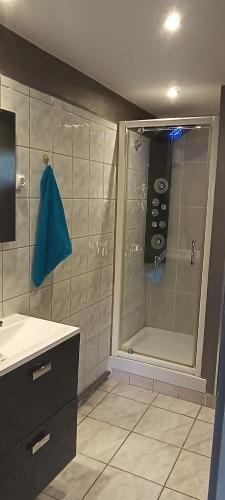 une salle de bain avec une douche et un lavabo et une douche dans l'établissement Charmante maison avec piscine, à Anneyron