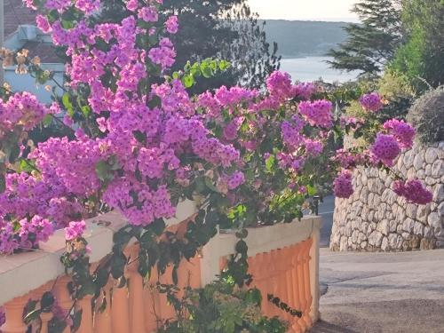 Φυσικό τοπίο κοντά σε αυτό το διαμέρισμα