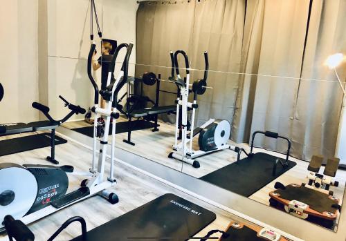 a gym with several tread machines and a mirror at Beautiful House in Blankenese in Hamburg