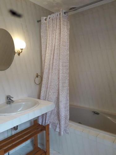 une salle de bain avec un lavabo et un rideau de douche dans l'établissement Les guernouilles, à Mézières-en-Brenne