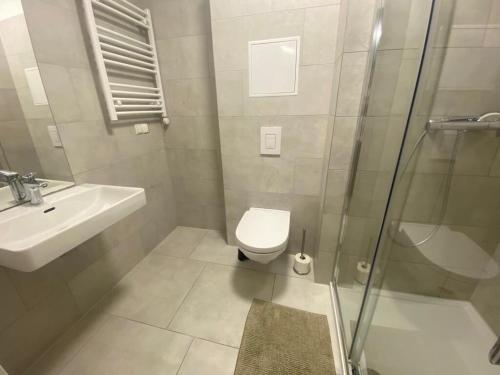 a bathroom with a toilet and a sink and a shower at Vienna´s Danube Apartments in Vienna