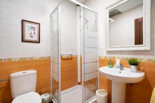 a bathroom with a shower and a toilet and a sink at Casa Fluri in San Fernando