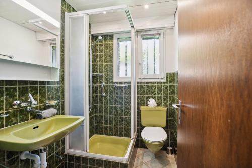 baño con aseo verde y lavamanos en Luxus Loft am Zürichsee I Seesicht I Garten I Arbeitsplatz en Richterswil