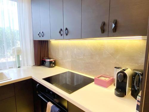 eine Küche mit einer Spüle und einer Arbeitsplatte in der Unterkunft Luna Rossa Boutique Apartman in Balatonakali