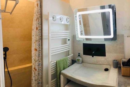 een kleine badkamer met een wastafel en een spiegel bij Cozy T2 Moulin de la Calade au Coeur du Var in Le Luc
